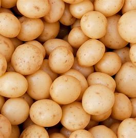 Cyprus Potatoes