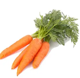 Carrot