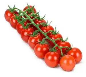 Vine tomato