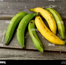 Plantain