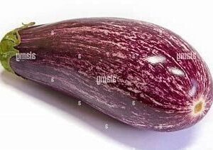 Small aubergine