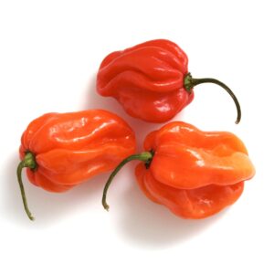 scotch bonnet