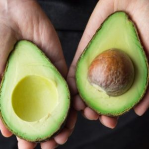 AVOCADO