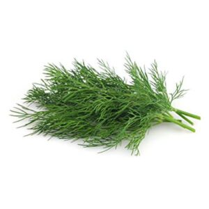 dill