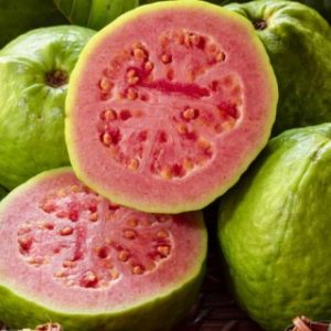 Guava